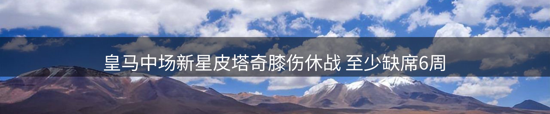 资讯动态