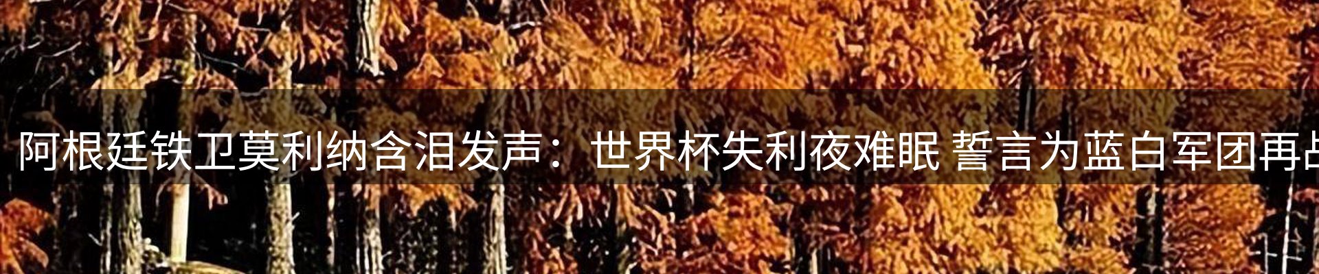 资讯动态